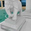 安顺 白麻花岗岩动物异形石雕-大象