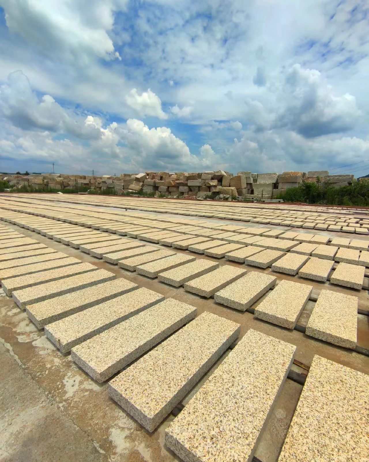 安顺 黄金麻花岗岩荔枝面地铺石防护中