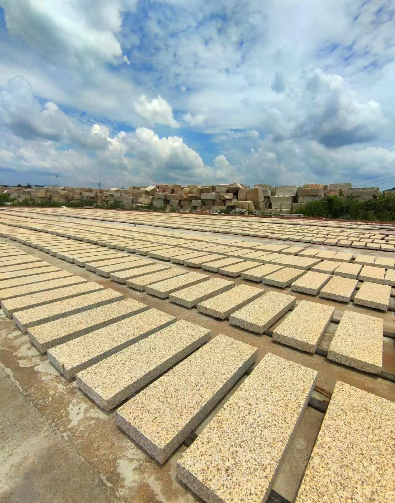 安顺 黄金麻荔枝面花岗岩石材地铺石防护中